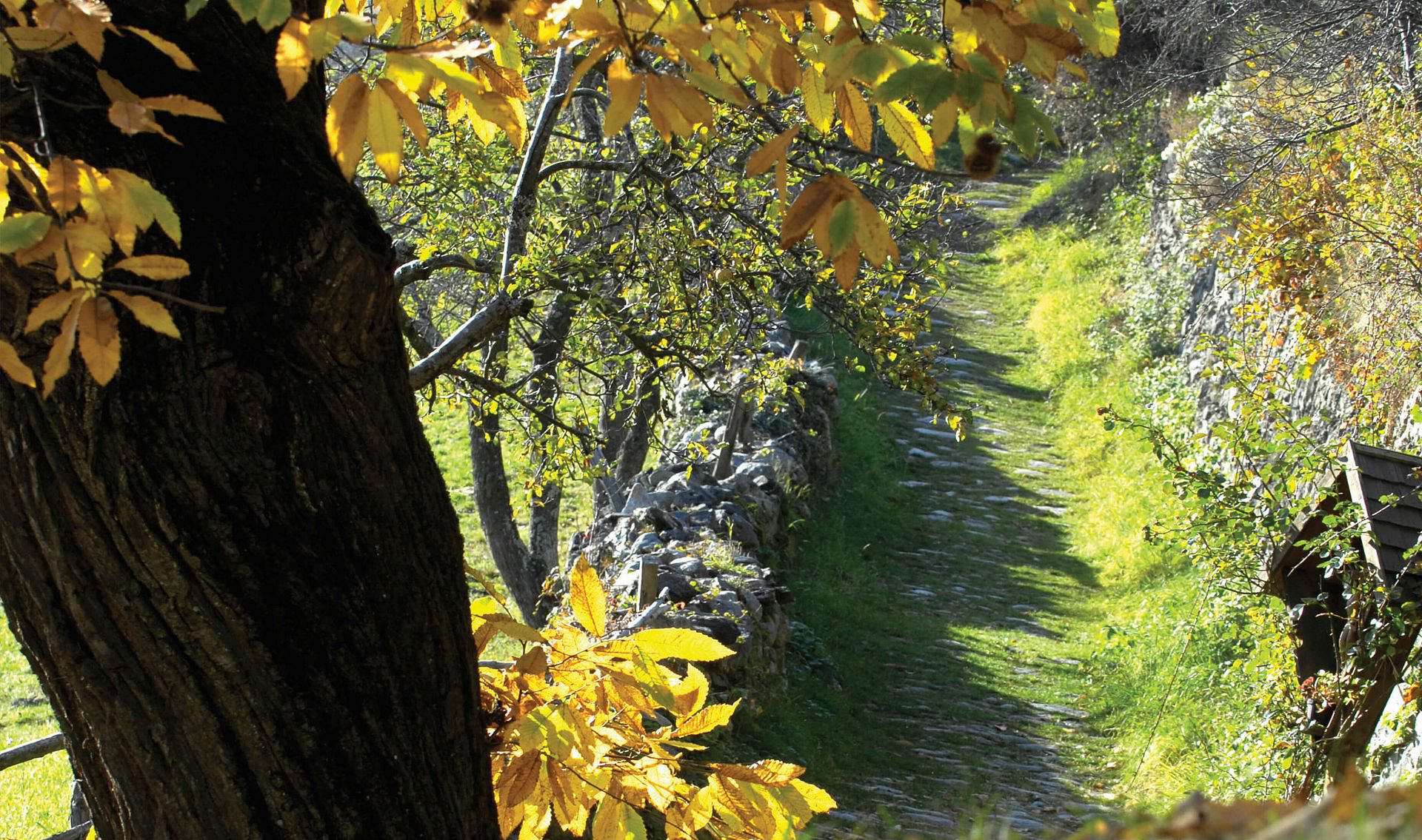 Velturno d'autunno