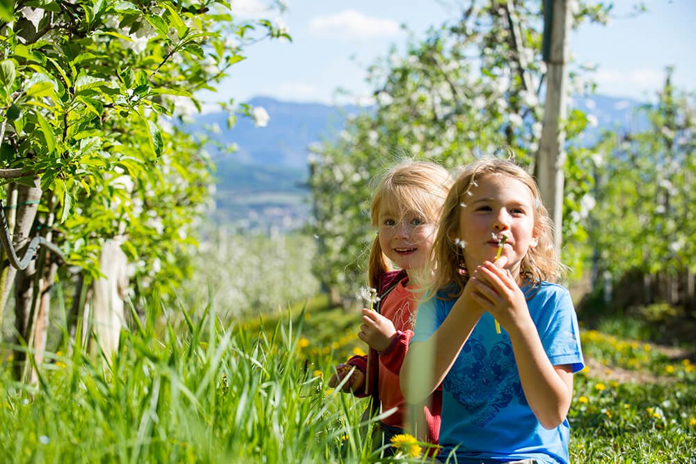 Vacanze avventura con bambini