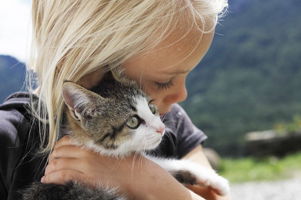 Urlaub mit Kindern in Südtirol